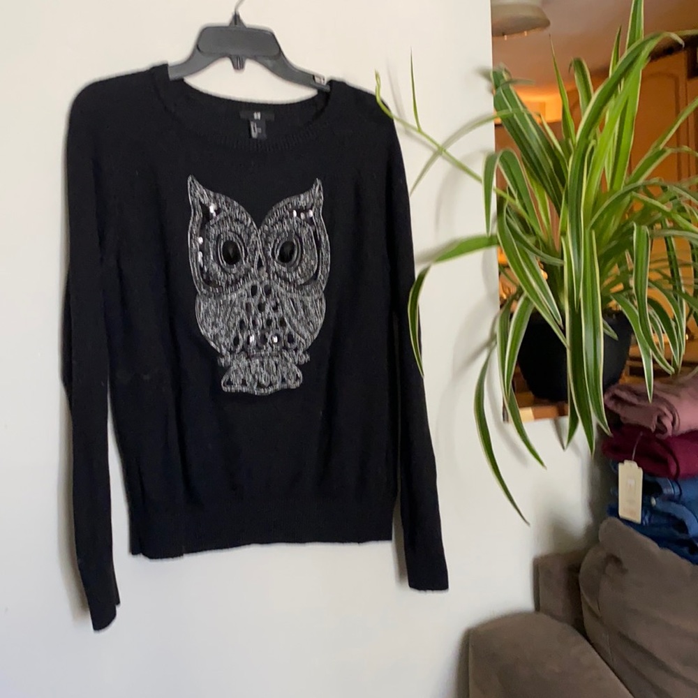 🎈5/$40 Owl Sweater